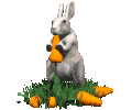conill imatges-animades-gif